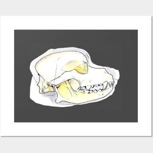 Rottweiler dog head bone Posters and Art